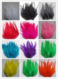 Wholesale 50pcs / lot beautiful neck rooster feathers 10-15 cm / 4 to 6 inches a variety of Colours