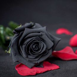 10pcs 41cm Black Rose Artificial Flowers Silk Home Decor Aesthetic Wedding Flores Artificiales & Dried Flowers Bouquet Wholesale