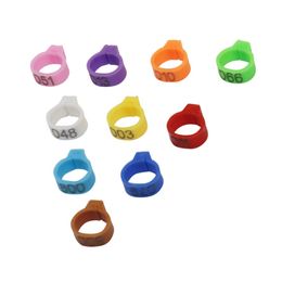 1000 Pcs 10 Colours No.001~100 Inner Diameter 8mm Bird clip ring Digital Parrot Clip Rings Band Foot Ring Bird Supplies