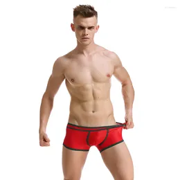 Underpants Men's Breathable Mesh Underwear Comfortable Boxer Trunk Shorts Sexy Low-rise Pouch Male Panties