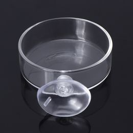 New Fish Tank Feeder Aquarium Shrimp Glass Feeding Bowl Clear Dish Tray