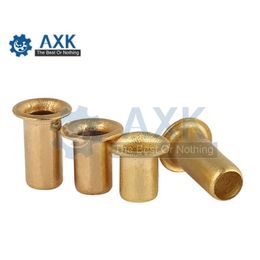 Rivet Nuts Circuit Board Brass Copper 100pcs 50pcs M2 M2.5 M3 M4 Titanium Alloy Gb876 Follow Pcb Fails Tubular Double-sided Axk