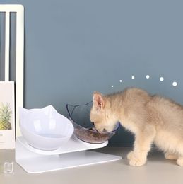 Cat Food Bowl, Double Overflow Bowl, Dogs and Cats Feeder, Pet Supplies