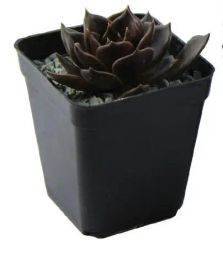 10pcs/lot 7*7*8cm Black Color Flower Pots Planters Pot Trays Plastic Pots Creative Small Square Pots for Succulent plants GYH