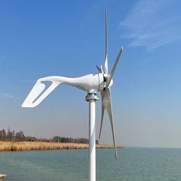 Hot Selling 800W 12V/24V/48V Wind Turbine 3/5 Blades Optional Permanent Magnet Wind Generator With Controller Free Power Energy