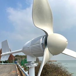 8000W Windmill Turbine 24V 48V96V Generators Low Start Speed Free Alternative Energy 3 Blades With Wind MPPT Hybrid Controller