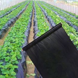 Agriculture Weeding Black Mulch 0.8m Width Thicken 0.01mm Vegetable Greenhouse Strawberry Special Plastic Film Plants Grow Films