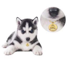 Personalised Pet ID Tags I AM MICRO CHIPPED Anti-lost Engraved Pets ID Name Plate for Cats Puppy Dog Collar Tag Pendant Keyring