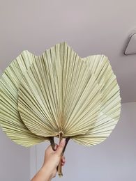 About 20*40CM/1PCS Dried Natural Plant Palm leaves,DIY Dry Flowers Palm Fan Leaf For Party Art Wall Hanging,Wedding Decoration