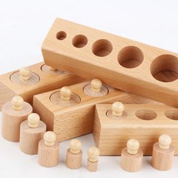 Montessori Pressure Blocks School Teaching livre Materials Preschool Educational Wooden Toy Knobbed Cylinders