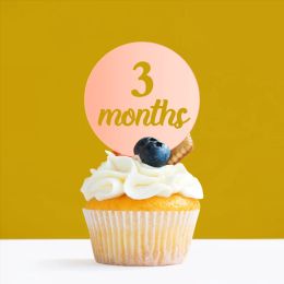 Pack of 12 PCS Full Month One Month 12 Monthes Acrylic Baby Birthday Cupcake Topper Cupcake Decoration