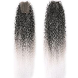 Synthetic Afro Kinky Curly Hair Bundles Extensions With Closure 24/26/28 inch Black Grey White Hair Weave