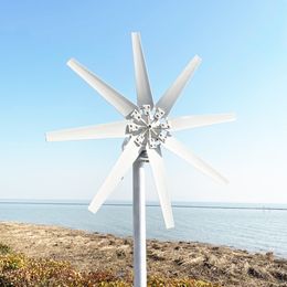 Factory Cheap 3KW Wind Energy Generator for Home 3000W 12V 24V 48V Free Power Turbine Horizontal Windmill With MPPT Controller