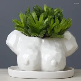 Vases Abstract Human Body Ceramics Flower Pot Outdoor Balcony Cactus Succulents Boobs Vase Crafts Garden Decoration Accessories