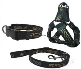 Fashion Dog Collars Leashes Set Pet Leash Seat Belts Pet Collar And Pets Chain Letter Dogs Cat Supplies q5819998