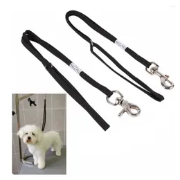 Dog Apparel Accessories Pet Noose Loop Grooming Adjustable Restraint Rope Solid Chain Polypropylene Harness Strap Set