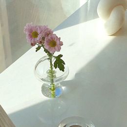 Glass Flower Vase For Home Decor Glass Vase Flower Tabletop Terrarium Table Ornaments Desktop Nordic Vase