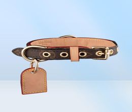 Classic Old Flower Dog Collars Leashes Set Fashion Brand Designer Dogs Collar Adjustable Puppy Belt Leash Pet Outdoor Running Trai3493405