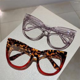 Sunglasses Cat Eye Large Frame Glasses Anti Blue Light Eyewear Fashion Reading Colorful