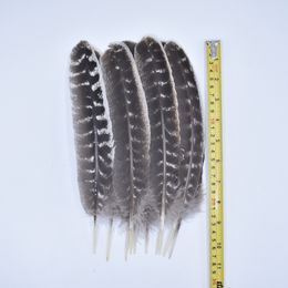 10Pcs/Lot Real Natural Eagle Feathers for Jewelry Making Turkey Pheasant Crafts DIY Carnival Accessories Artificial Decorations