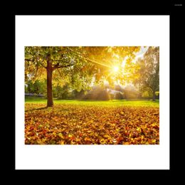 Tapestries Forest Tapestry Sun Rays Through Trees Countryside Scenic Wall Hanging For Bedroom Living Room Dorm Decor
