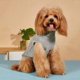 Dog Apparel Soft Material Pet Sweater Cosy Stylish Bowknot Decor Warm Winter Dog/cat Vest Breathable Easy To Wear Small