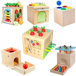 Kids Colour Sorting Toys Montessori Wooden Shape Matching Learning Activities Sensory Play Fine Motor Training Educational Toys
