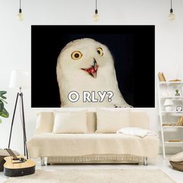 Humorous Meme Hanging Tapestries Funny Owl And Flying Cat Printed Sofa Blanket Yoga Mat Home Decoration