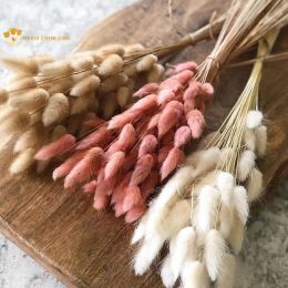 50Pcs Dried Flower Rabbit Tail Bouquet Home Decor Natural Fluffy Pampas Floral Arrangement Rustic Wedding Table Decoration