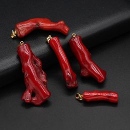 1PC Irregular Branch Polishing Handwork Red Coral Charms Natural Sea Bamboo Red Coral Pendant for Jewellery Making DIY Necklaces