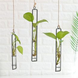 Vases Rope Pendant Simple Iron Hydroponic Nordic Transparent Wall Mounted Home Decoration Glass Vase Living Room Flowerpot