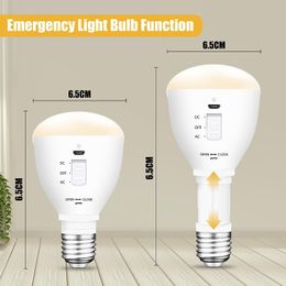 Battery Charging Bulb Retractable Hand Torch 7W Emergency Lamps Micro USB Outdoor Tent Light With Remote Control Dimming