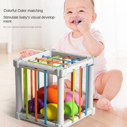 Montessori Baby Toys 6 12 Month Children Educational Toys Baby Development Board Games Learning Sorter for Kids 1 Year Boy Gift