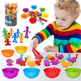 Children Colour Sort Sensory Math Toys Counting Game Fine Motor Skill Rainbow Colourful Animal Baby Kid Montessori Early Education