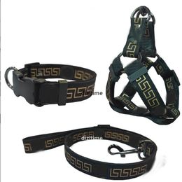 Fashion Dog Collars Leashes Set Pet Leash Seat Belts Pet Collar And Pets Chain Letter Dogs Cat Supplies q7367584