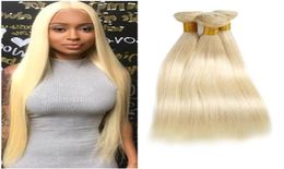 Brazilian Virgin Hair Extensions 3 Bundles Straight Human Hair Weaves 830inch 613 Blonde Colour Silky Straight 613 Double Wefts7856734