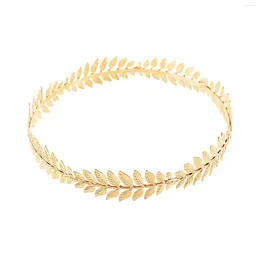 Headpieces Woman's Hair Hoop Circular Band Wear-resistant Lady Headdress Hoops Ornaments For Banquet Wedding Dresses Skirts