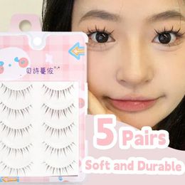 False Eyelashes 5 Pairs Reusable Strip 3D Curly Fluffy Dramatic Eyelash Wispy Natural Faux Mink Lashes Easy To Apply Glue On
