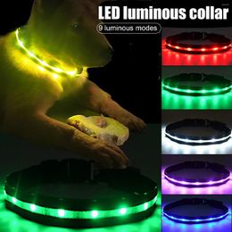 Dog Collars Pet Led Light-Up Collar Rechargeable Waterproof Night Safety Flash Adjustable Anti-Loss Fluorescent Neck Supplies