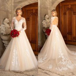 Kitty Chen 2024 Wedding Dresses A Line Lace Appliqued Bridal Gowns V Neck Long Sleeve Hollow Back Wedding Dress