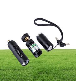 New Arrival Laser 303 Long Distance Green SD 303 Laser Pointer Powerful Hunting Laser Pen Bore Sighter 18650 BatteryCharger7211294