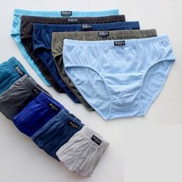 Underpants 5pcs/Lot 6XL 5XL 120KG Cotton Underwear Men Birefs Mid Waist Triangle Comfortable Breathable Shorts Briefs