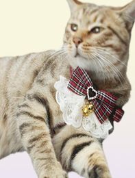 Cat Collars Leads Pet Dog Harness Leash 2 Sets Bow Lace Collar Flower Walking Rope Chain For Small Medium Suit7129334