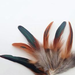 Natural High Quality 5-8'' Pheasant Feather 50PCS 100PCS Rooster Plumes For Crafting Jewellery Accessories Decor Chicken Plume