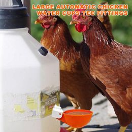 Automatic Chicken Water Cup Waterer Bowl Kit Farm Coop Poultry Waterer Drinking Water Feeder For Chicks Duck Geese Turkey Quail