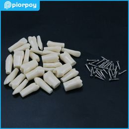 Removable Dental Typodont Screw-in Teeth Model Practise Individual Replacement Compatible Nissin Dentistry Training Accessories