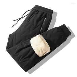 Men's Pants 2024 Winter Lamb Fleece Casual Sweatpants Warm Plus Velvet Thickened Large Size Loose Windproof Outerwear Cotton Trouser