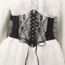 Transparent Lace Elastic Waistband Female Ultra Wide Belt Vintage Skirt Lolita Decorative Body Shaper Girdle Corset Harajuku y2k