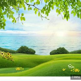 Wallpapers Beautiful Scenery Blue Sky And White Clouds Grassland Natural TV Background Wall