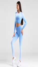 Adapt Ombre Seamless Yoga Outfits Set Women Sport Suit Workout Sportswear Gym Set Long Sleeve Crop Top Running Leggings Fitness5426943